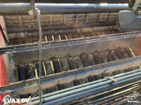 Potato harvester Amac AXL 2