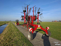 Rake Lely Hibiscus 715 CD
