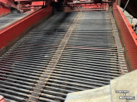 Potato harvester Grimme Rooimatten