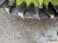 Cornhead Claas Orbis 600 SD