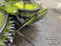 Cornhead Claas Orbis 600 SD