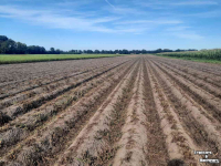 Haulm Topper  MSR Crown Crusher loofdoder
