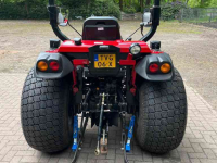 Horticultural Tractors TYM 353