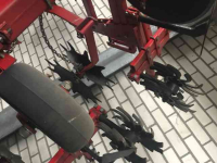 Inter-row cultivator Knoche 