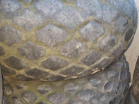 Wheels, Tyres, Rims & Dual spacers  23.1X26 Wielen