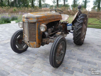 Oldtimers Massey Ferguson TEF 20 Diesel
