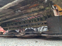 Mower Fella SM 270 met kneuzer voor evt. onderdelen of reparatie