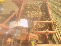 Onion harvester Amac KOMT BINNEN ???? Amac D2 Uienlader