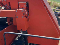 Potato harvester Dewulf RA2060 | axiaal | bypass | verstek