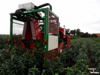 Rootball Lifter Ezendam Globus ASTM automatische Steekmachine
