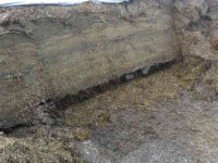 Silage cutting bucket Frickelo Kuilhapper