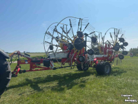Rake Pottinger TOP 1252 C