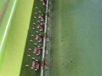 Seed drill Amazone D8-30 Special zaaimachine