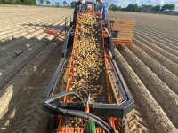 Potato harvester  Tuma kistenlader / aardappellader - stammenlader
