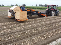 Potato harvester  Tuma kistenlader / aardappellader - stammenlader
