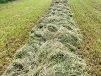 Rake Talex Bocian/ zwadkeerder/ trommelschudder 2.75