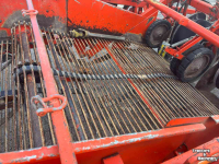 Potato harvester Amac E2