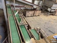 Box filler Dijkstra Kistenvulsysteem, kistensortering, AT 5, sorteerder