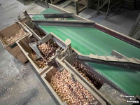 Box filler Dijkstra Kistenvulsysteem, kistensortering, AT 5, sorteerder