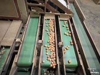 Box filler Dijkstra Kistenvulsysteem, kistensortering, AT 5, sorteerder