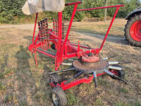 Rake Lely Hibiscus 425