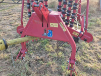 Rake Lely Hibiscus 425