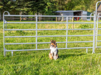 Partition Fences Patura Paneel hek