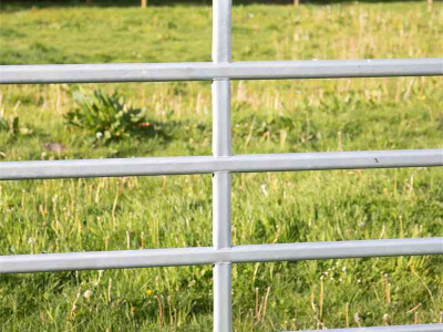 Partition Fences Patura Paneel hek
