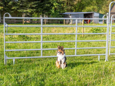 Partition Fences Patura Paneel hek