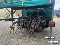 Transplanter Fedele plantmachine 3 rijen / 6 rijen