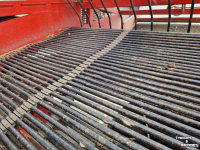 Potato harvester Dewulf RDT