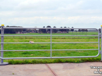 Partition Fences Qmac LANDHEK BUIS 3.50