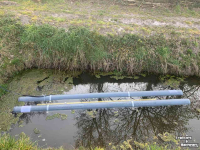 Irrigation pump  Robbemont bootpomp.