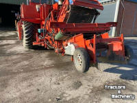 Onion harvester Riecam SAMON UIENROOIER