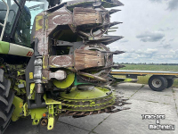 Cornhead Claas Claas - ORBIS 600 SD