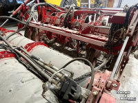 Potato harvester Grimme Opname 6x50cm t.b.v. Grimme Tectron