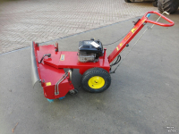 Sweeper Sweep GS1010