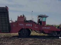 Potato harvester Amac ZM4
