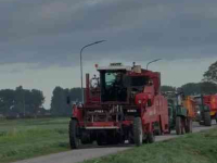 Potato harvester Amac ZM4