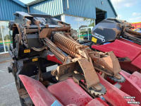 Corn picker Geringhoff Rota-Disc 600
