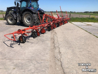 Tedder Kuhn Kuhn - GF 10812
