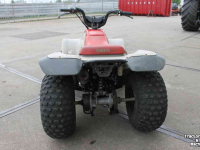 ATV / Quads Yamaha Breeze 125cc quad ATV