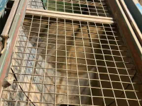 Sorting machine Demco Complete sorteerinstallatie