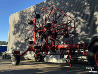 Rake Lely Lely Hibiscus 915CD vario