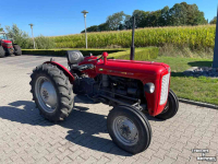 Horticultural Tractors Massey Ferguson 35