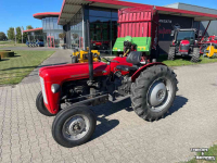 Horticultural Tractors Massey Ferguson 35