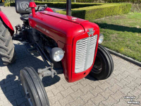 Horticultural Tractors Massey Ferguson 35
