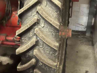Carrot harvester Dewulf GKIIS  wortelrooier
