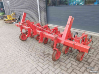 Inter-row cultivator Breviglieri Schoffelmachine