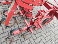 Inter-row cultivator Breviglieri Schoffelmachine